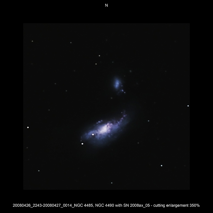 20080426_2243-20080427_0014_NGC 4485, NGC 4490 with SN 2008ax_05 - cutting enlargement 350pc.JPG -  CVn Newton d 309,5 / af 1623 & Coma Corrector CANON-EOS5D (AFC-Filter) 800 ASA no add. filter 8 light-frames 360s, auto dark, 3 flat, 10 bias Guidemaster, DSS, Canon-RAW-Image, Adobe-PS-CS3 SN2008AX  